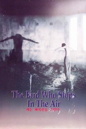 The Bird Who Stops in the Air's poster