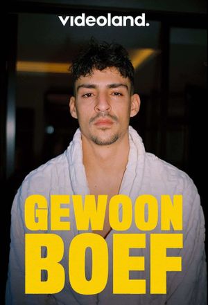 Gewoon Boef's poster