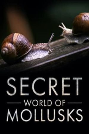 Secret World of Mollusks's poster