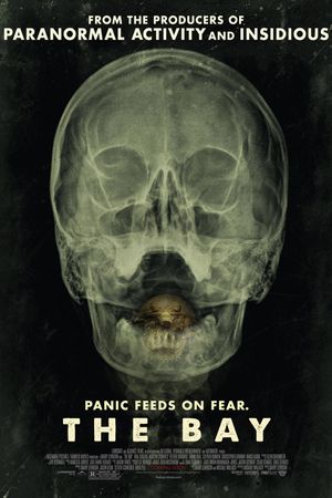 The Bay's poster