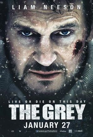 The Grey's poster