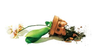 Adaptation.'s poster