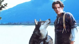 White Fang's poster