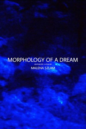Morphology of a Dream's poster