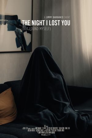 The Night I Lost You (But Found Myself)'s poster image