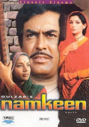 Namkeen's poster