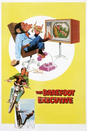 The Barefoot Executive's poster