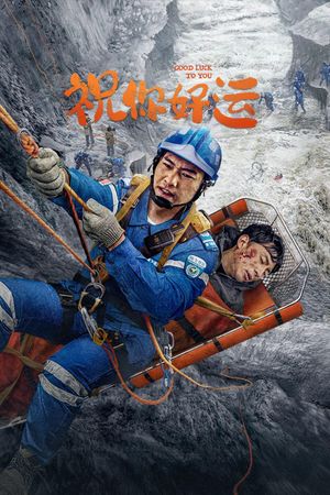 祝你好运's poster