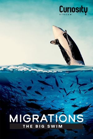 Migrations: The Big Swim's poster