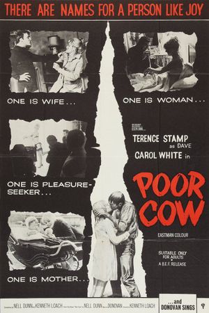 Poor Cow's poster