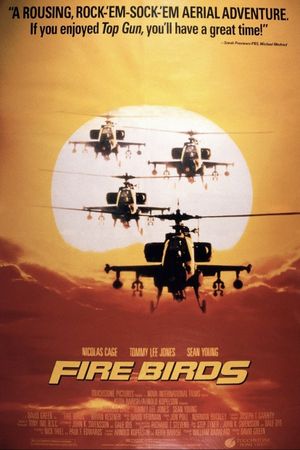 Fire Birds's poster