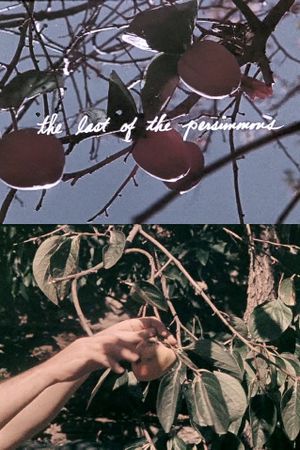 The Last of the Persimmons's poster