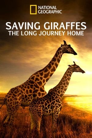 Saving Giraffes: The Long Journey Home's poster