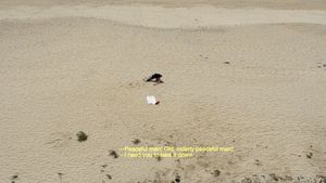 European Man...American Beach's poster