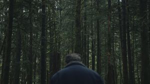 To Kill a Wolf's poster