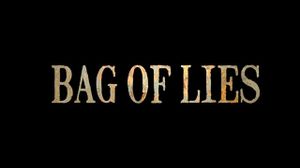 Bag of Lies's poster