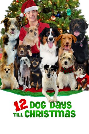 12 Dog Days Till Christmas's poster