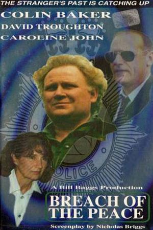 The Stranger: Breach of the Peace's poster