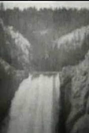 Lower Falls, Grand Canyon, Yellowstone Park's poster image