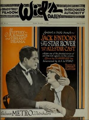 The Star Rover's poster