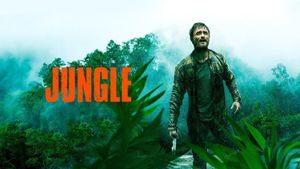 Jungle's poster