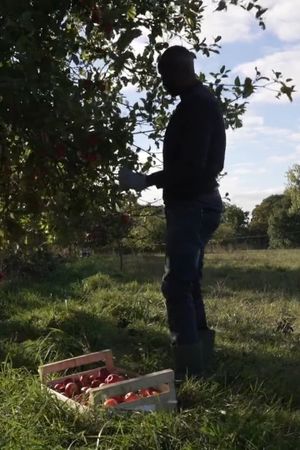 C’est pas parce qu’on est dans la galère qu’on doit mal bouffer's poster