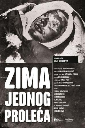 Zima jednog proleca's poster