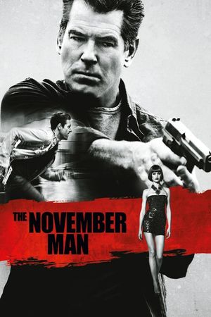 The November Man's poster