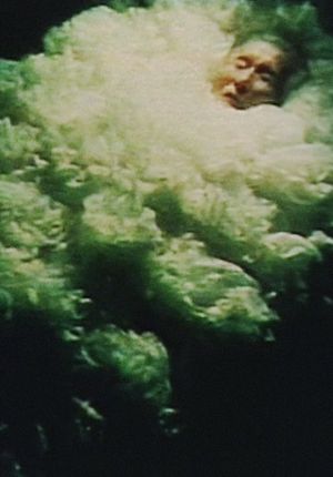 The Sleeping Flower's poster