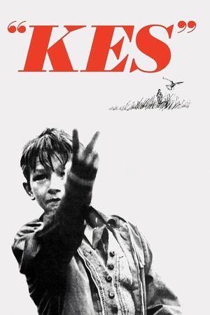 Kes's poster