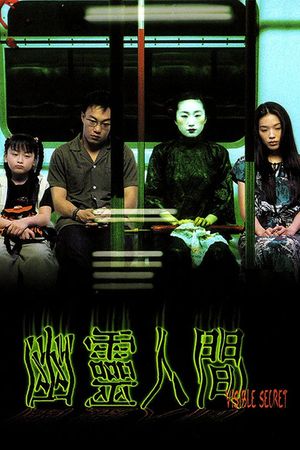 Visible Secret's poster