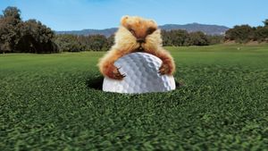 Caddyshack's poster