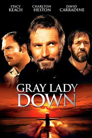 Gray Lady Down's poster