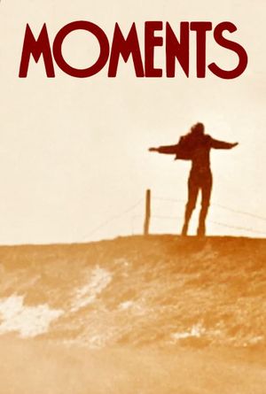 Moments's poster