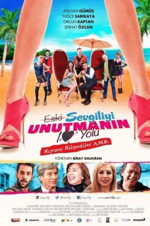 Eski Sevgiliyi Unutmanin 10 Yolu's poster