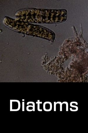 Diatoms's poster