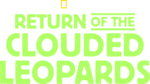 Return of the Clouded Leopards's poster