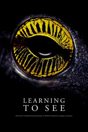 Learning to See: The World of Insects's poster