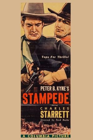 Stampede's poster