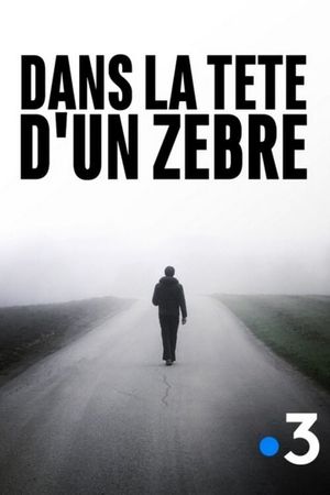 Dans la tête d'un zèbre's poster image