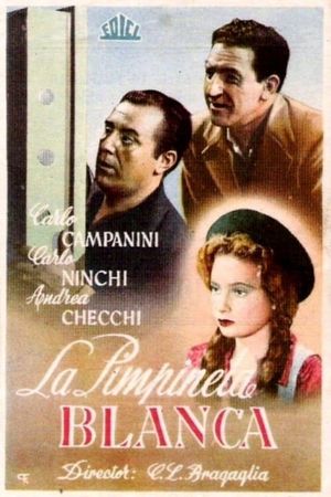 La primula bianca's poster