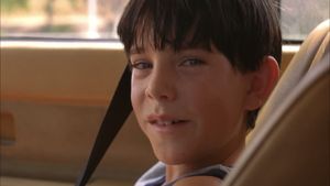 Mysterious Skin's poster