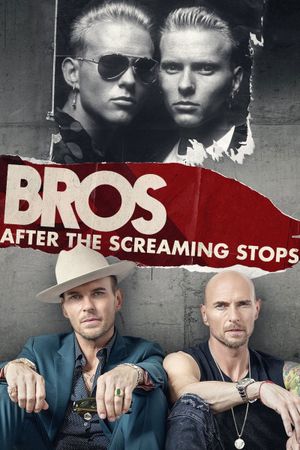 After the Screaming Stops's poster