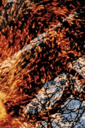 Winter Feuer's poster