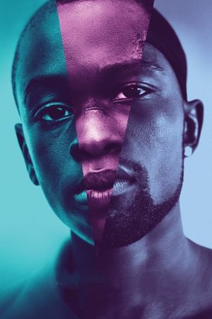 Moonlight's poster