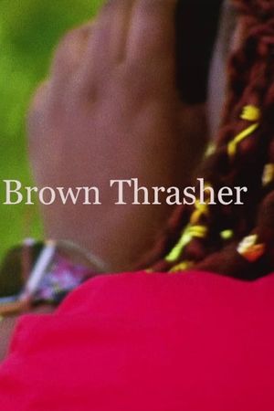 Brown Thrasher's poster