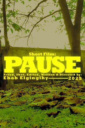 Pause's poster