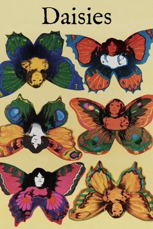 Daisies's poster