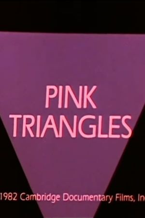 Pink Triangles's poster