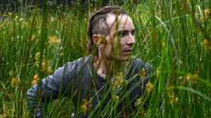 The Survivalist's poster
